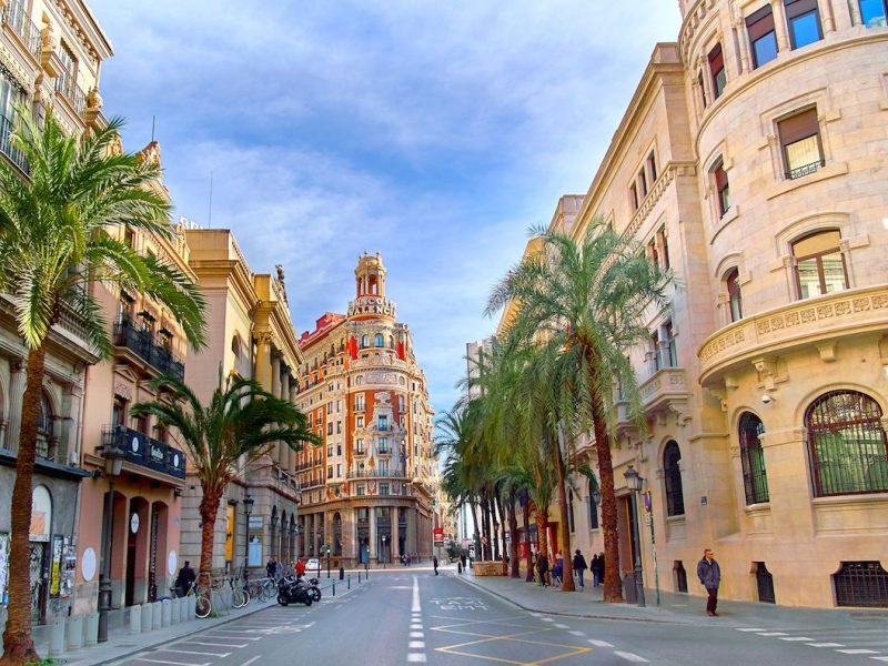 Palm-Trees-lining-a-street-in-Valencia-Spain