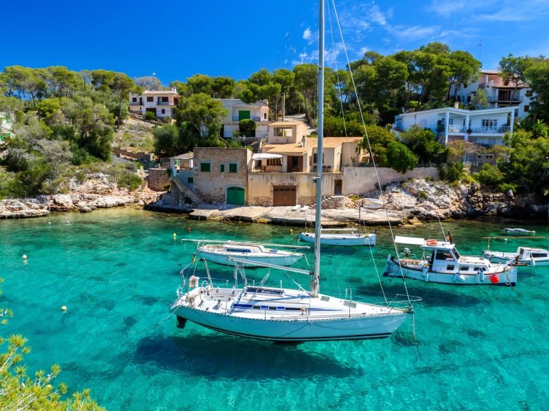 Webp.net-resizeimage-95